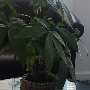 Meet your Posher, Claudia